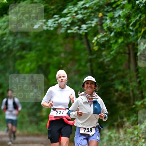 11.10.2026 - Bramfelder Halbmarathon 2026 Dr. Thomas Lammeyer http://msf.ph/oto/10816632 11.10.2026 09:53:57 Laufen 227, 759 meine-sportfotos.de