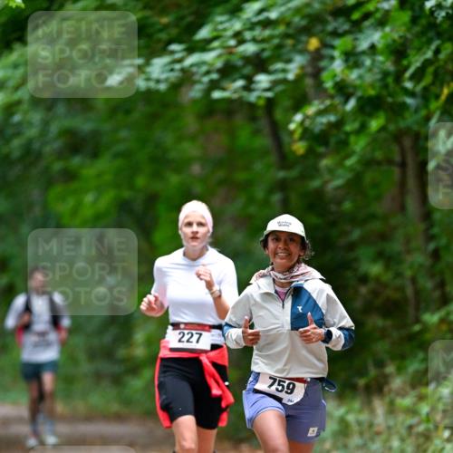 11.10.2026 - Bramfelder Halbmarathon 2026 Dr. Thomas Lammeyer http://msf.ph/oto/10816633 11.10.2026 09:53:57 Laufen 227, 759, 244 meine-sportfotos.de