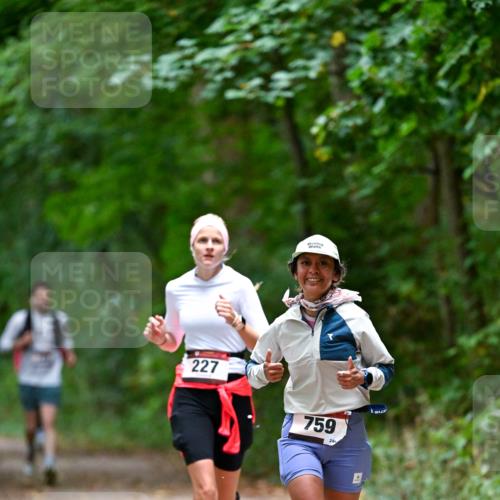 11.10.2026 - Bramfelder Halbmarathon 2026 Dr. Thomas Lammeyer http://msf.ph/oto/10816634 11.10.2026 09:53:58 Laufen 227, 759, 24 meine-sportfotos.de