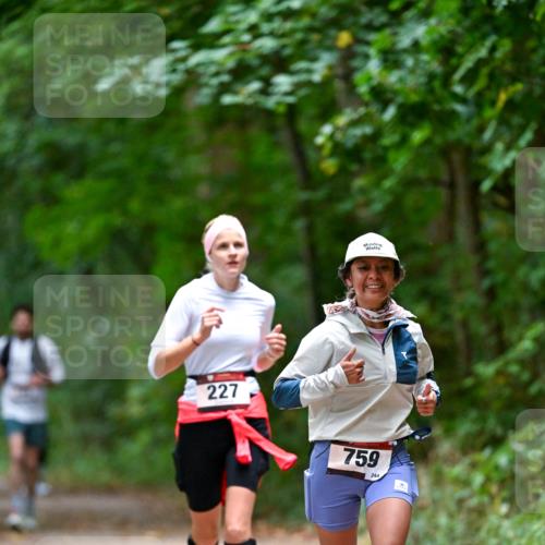 11.10.2026 - Bramfelder Halbmarathon 2026 Dr. Thomas Lammeyer http://msf.ph/oto/10816636 11.10.2026 09:53:58 Laufen 227, 759, 244 meine-sportfotos.de