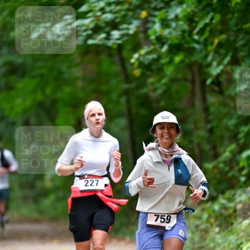 11.10.2026 - Bramfelder Halbmarathon 2026 Dr. Thomas Lammeyer http://msf.ph/oto/10816637 11.10.2026 09:53:58 Laufen 227, 759 meine-sportfotos.de