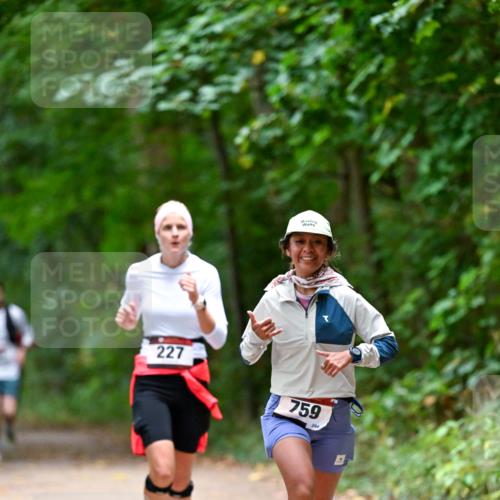 11.10.2026 - Bramfelder Halbmarathon 2026 Dr. Thomas Lammeyer http://msf.ph/oto/10816638 11.10.2026 09:53:58 Laufen 227, 759, 244 meine-sportfotos.de