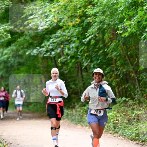 11.10.2026 - Bramfelder Halbmarathon 2026 Dr. Thomas Lammeyer http://msf.ph/oto/10816644 11.10.2026 09:53:59 Laufen 227, 759 meine-sportfotos.de
