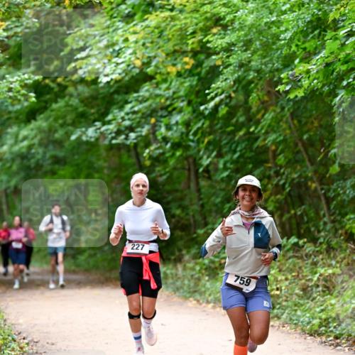 11.10.2026 - Bramfelder Halbmarathon 2026 Dr. Thomas Lammeyer http://msf.ph/oto/10816645 11.10.2026 09:53:59 Laufen 227, 759, 244 meine-sportfotos.de