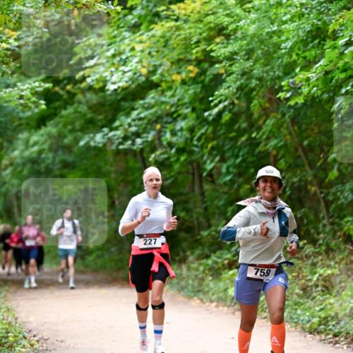 11.10.2026 - Bramfelder Halbmarathon 2026 Dr. Thomas Lammeyer http://msf.ph/oto/10816646 11.10.2026 09:53:59 Laufen 227, 759 meine-sportfotos.de