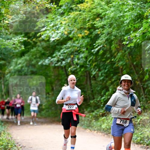 11.10.2026 - Bramfelder Halbmarathon 2026 Dr. Thomas Lammeyer http://msf.ph/oto/10816647 11.10.2026 09:53:59 Laufen 227, 759 meine-sportfotos.de