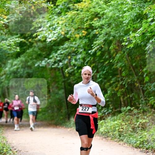 11.10.2026 - Bramfelder Halbmarathon 2026 Dr. Thomas Lammeyer http://msf.ph/oto/10816652 11.10.2026 09:54:00 Laufen 227 meine-sportfotos.de