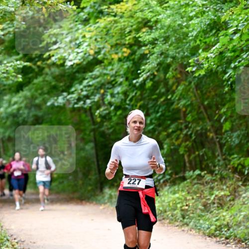 11.10.2026 - Bramfelder Halbmarathon 2026 Dr. Thomas Lammeyer http://msf.ph/oto/10816653 11.10.2026 09:54:00 Laufen 227 meine-sportfotos.de