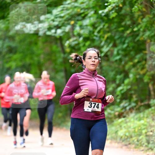 11.10.2026 - Bramfelder Halbmarathon 2026 Dr. Thomas Lammeyer http://msf.ph/oto/10816686 11.10.2026 09:54:07 Laufen 374, 82 meine-sportfotos.de