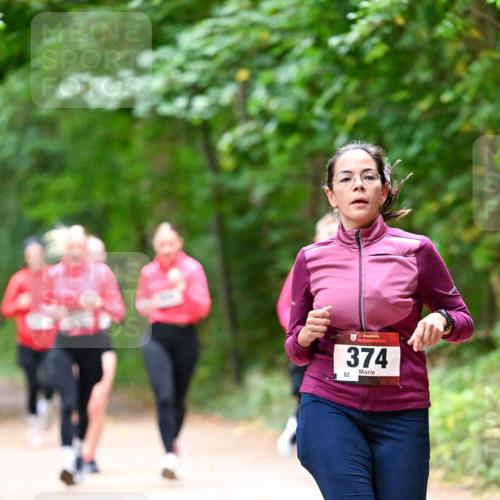 11.10.2026 - Bramfelder Halbmarathon 2026 Dr. Thomas Lammeyer http://msf.ph/oto/10816689 11.10.2026 09:54:08 Laufen 374, 82 meine-sportfotos.de