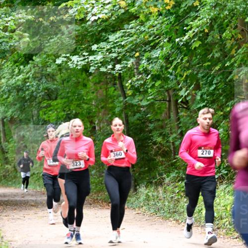 11.10.2026 - Bramfelder Halbmarathon 2026 Dr. Thomas Lammeyer http://msf.ph/oto/10816690 11.10.2026 09:54:08 Laufen 360, 54, 270, 323 meine-sportfotos.de