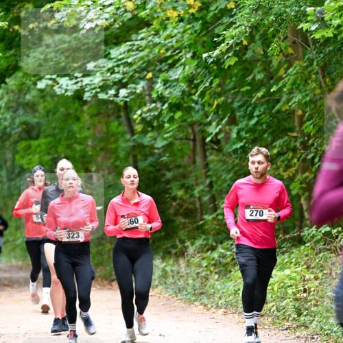 11.10.2026 - Bramfelder Halbmarathon 2026 Dr. Thomas Lammeyer http://msf.ph/oto/10816692 11.10.2026 09:54:09 Laufen 323, 360, 270 meine-sportfotos.de
