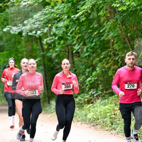 11.10.2026 - Bramfelder Halbmarathon 2026 Dr. Thomas Lammeyer http://msf.ph/oto/10816695 11.10.2026 09:54:10 Laufen 54, 23, 360, 270 meine-sportfotos.de