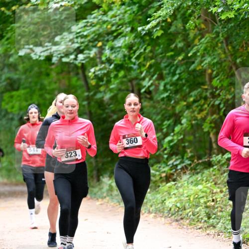11.10.2026 - Bramfelder Halbmarathon 2026 Dr. Thomas Lammeyer http://msf.ph/oto/10816696 11.10.2026 09:54:10 Laufen 544, 360, 323 meine-sportfotos.de