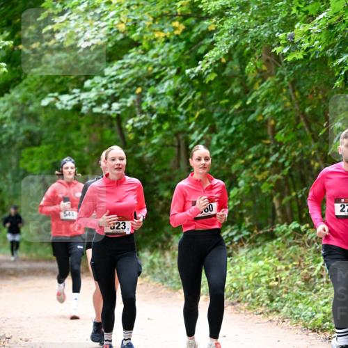 11.10.2026 - Bramfelder Halbmarathon 2026 Dr. Thomas Lammeyer http://msf.ph/oto/10816697 11.10.2026 09:54:10 Laufen 544, 23, 00, 27 meine-sportfotos.de