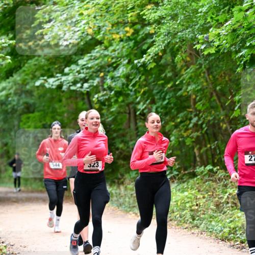 11.10.2026 - Bramfelder Halbmarathon 2026 Dr. Thomas Lammeyer http://msf.ph/oto/10816698 11.10.2026 09:54:10 Laufen 27, 544, 323 meine-sportfotos.de
