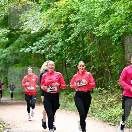 11.10.2026 - Bramfelder Halbmarathon 2026 Dr. Thomas Lammeyer http://msf.ph/oto/10816699 11.10.2026 09:54:11 Laufen 544, 323, 360 meine-sportfotos.de