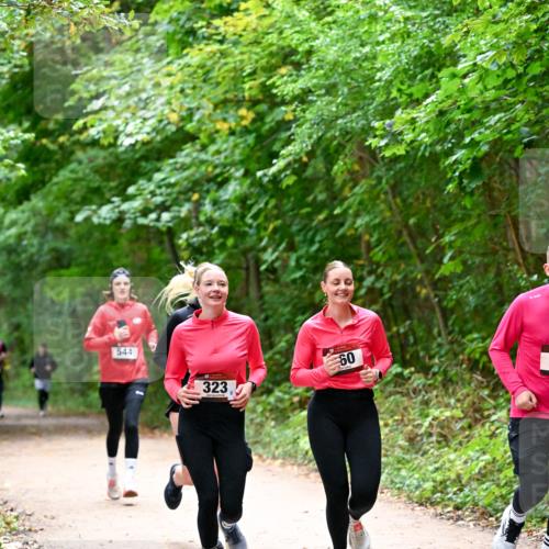 11.10.2026 - Bramfelder Halbmarathon 2026 Dr. Thomas Lammeyer http://msf.ph/oto/10816700 11.10.2026 09:54:11 Laufen 544, 323, 60 meine-sportfotos.de