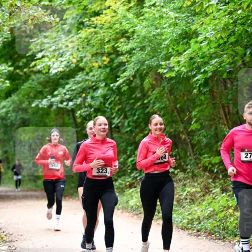 11.10.2026 - Bramfelder Halbmarathon 2026 Dr. Thomas Lammeyer http://msf.ph/oto/10816701 11.10.2026 09:54:11 Laufen 544, 00, 323, 27 meine-sportfotos.de