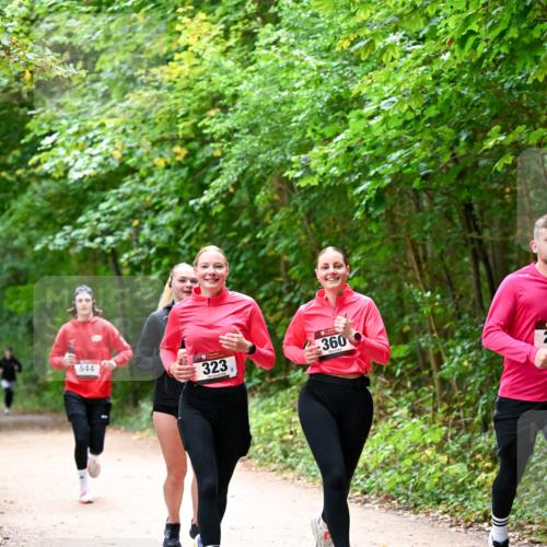 11.10.2026 - Bramfelder Halbmarathon 2026 Dr. Thomas Lammeyer http://msf.ph/oto/10816704 11.10.2026 09:54:11 Laufen 544, 323, 360, 2 meine-sportfotos.de