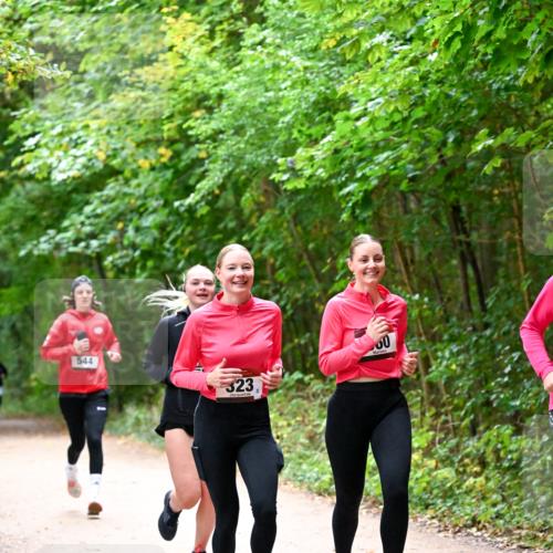 11.10.2026 - Bramfelder Halbmarathon 2026 Dr. Thomas Lammeyer http://msf.ph/oto/10816706 11.10.2026 09:54:11 Laufen 544, 323, 00 meine-sportfotos.de