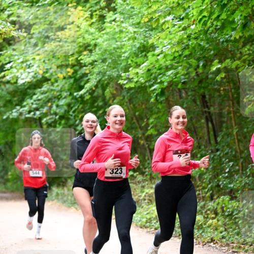 11.10.2026 - Bramfelder Halbmarathon 2026 Dr. Thomas Lammeyer http://msf.ph/oto/10816707 11.10.2026 09:54:12 Laufen 544, 323 meine-sportfotos.de