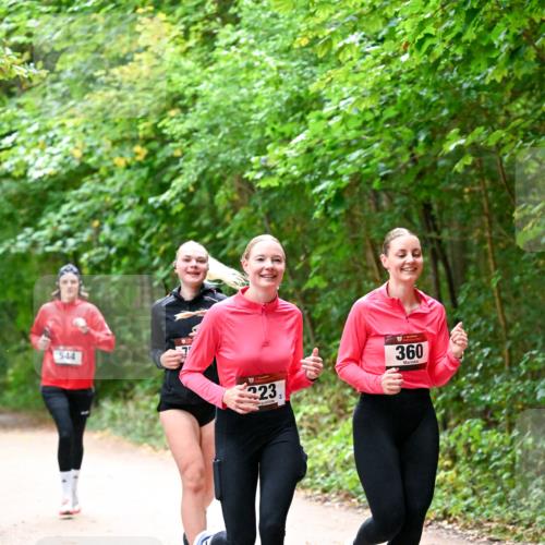 11.10.2026 - Bramfelder Halbmarathon 2026 Dr. Thomas Lammeyer http://msf.ph/oto/10816708 11.10.2026 09:54:12 Laufen 544, 223, 360 meine-sportfotos.de