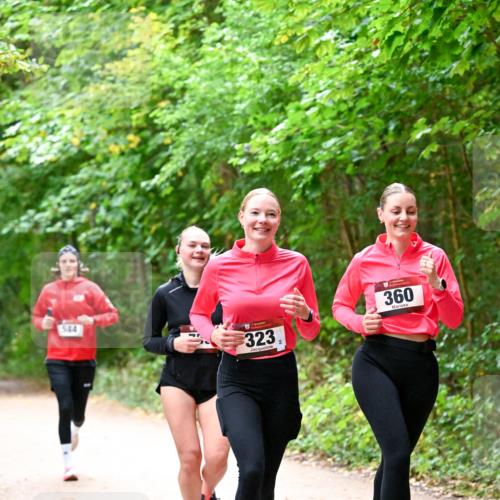 11.10.2026 - Bramfelder Halbmarathon 2026 Dr. Thomas Lammeyer http://msf.ph/oto/10816709 11.10.2026 09:54:12 Laufen 544, 323, 360 meine-sportfotos.de