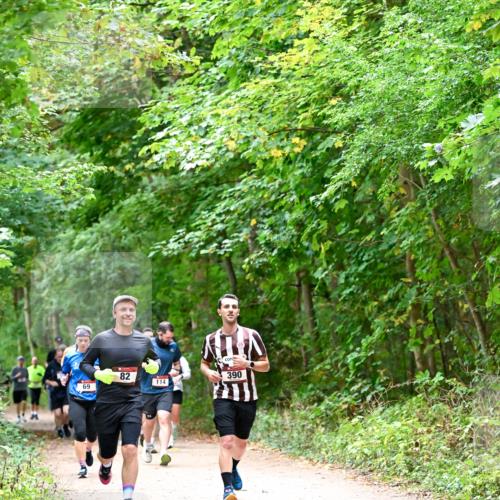 11.10.2026 - Bramfelder Halbmarathon 2026 Dr. Thomas Lammeyer http://msf.ph/oto/10816761 11.10.2026 09:54:25 Laufen 114 meine-sportfotos.de