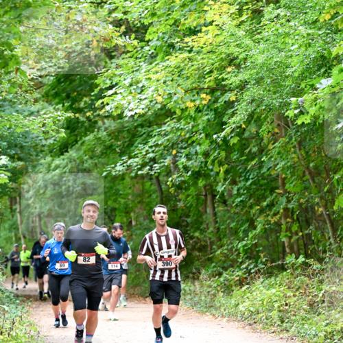 11.10.2026 - Bramfelder Halbmarathon 2026 Dr. Thomas Lammeyer http://msf.ph/oto/10816762 11.10.2026 09:54:25 Laufen 69, 82, 114, 390 meine-sportfotos.de