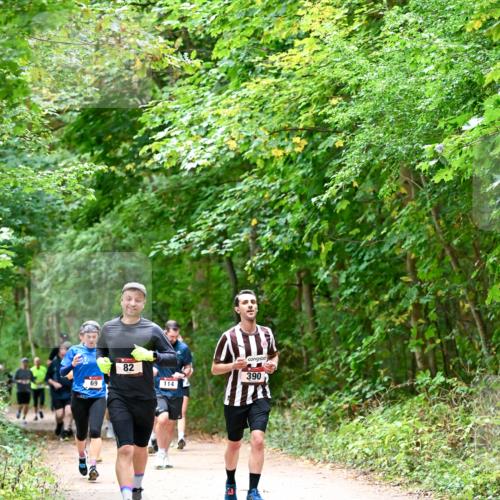 11.10.2026 - Bramfelder Halbmarathon 2026 Dr. Thomas Lammeyer http://msf.ph/oto/10816763 11.10.2026 09:54:25 Laufen 69, 82, 114, 390 meine-sportfotos.de