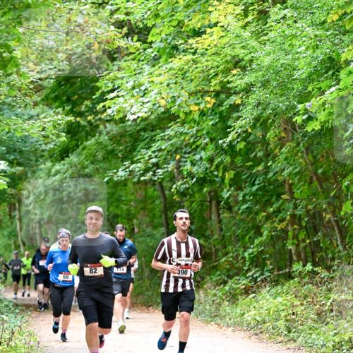 11.10.2026 - Bramfelder Halbmarathon 2026 Dr. Thomas Lammeyer http://msf.ph/oto/10816764 11.10.2026 09:54:26 Laufen 82, 14, 69, 390 meine-sportfotos.de