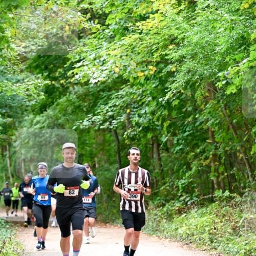 11.10.2026 - Bramfelder Halbmarathon 2026 Dr. Thomas Lammeyer http://msf.ph/oto/10816765 11.10.2026 09:54:26 Laufen 69, 82, 114 meine-sportfotos.de