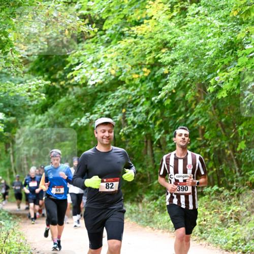 11.10.2026 - Bramfelder Halbmarathon 2026 Dr. Thomas Lammeyer http://msf.ph/oto/10816774 11.10.2026 09:54:27 Laufen 69, 82, 390 meine-sportfotos.de