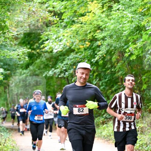 11.10.2026 - Bramfelder Halbmarathon 2026 Dr. Thomas Lammeyer http://msf.ph/oto/10816778 11.10.2026 09:54:28 Laufen 69, 82, 390 meine-sportfotos.de