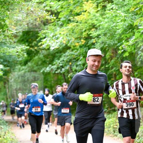 11.10.2026 - Bramfelder Halbmarathon 2026 Dr. Thomas Lammeyer http://msf.ph/oto/10816780 11.10.2026 09:54:28 Laufen 69, 114, 82, 390 meine-sportfotos.de