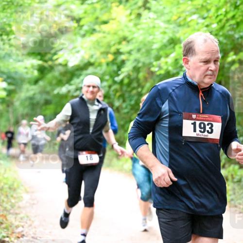 11.10.2026 - Bramfelder Halbmarathon 2026 Dr. Thomas Lammeyer http://msf.ph/oto/10816816 11.10.2026 09:54:36 Laufen 18, 35, 193, 62 meine-sportfotos.de
