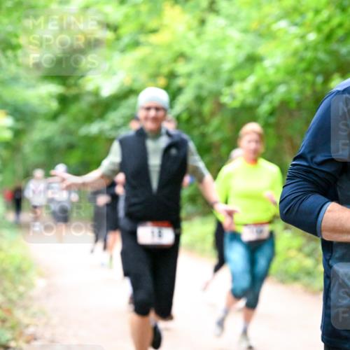 11.10.2026 - Bramfelder Halbmarathon 2026 Dr. Thomas Lammeyer http://msf.ph/oto/10816819 11.10.2026 09:54:36 Laufen 35, 1 meine-sportfotos.de