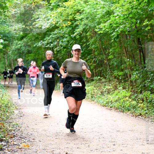 11.10.2026 - Bramfelder Halbmarathon 2026 Dr. Thomas Lammeyer http://msf.ph/oto/10816856 11.10.2026 09:54:47 Laufen 539, 560 meine-sportfotos.de