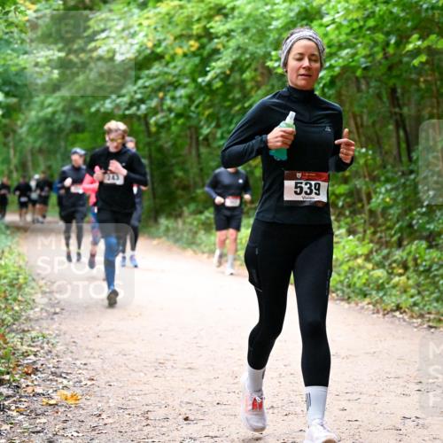 11.10.2026 - Bramfelder Halbmarathon 2026 Dr. Thomas Lammeyer http://msf.ph/oto/10816873 11.10.2026 09:54:49 Laufen 243, 539 meine-sportfotos.de