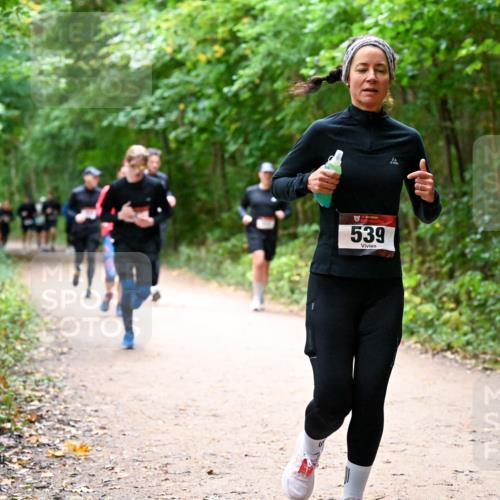 11.10.2026 - Bramfelder Halbmarathon 2026 Dr. Thomas Lammeyer http://msf.ph/oto/10816874 11.10.2026 09:54:50 Laufen 539 meine-sportfotos.de