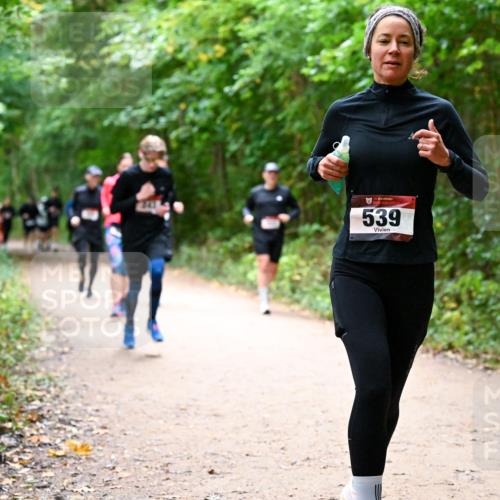 11.10.2026 - Bramfelder Halbmarathon 2026 Dr. Thomas Lammeyer http://msf.ph/oto/10816875 11.10.2026 09:54:50 Laufen 243, 539 meine-sportfotos.de