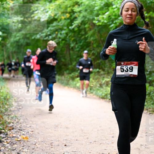 11.10.2026 - Bramfelder Halbmarathon 2026 Dr. Thomas Lammeyer http://msf.ph/oto/10816876 11.10.2026 09:54:50 Laufen 35, 539 meine-sportfotos.de