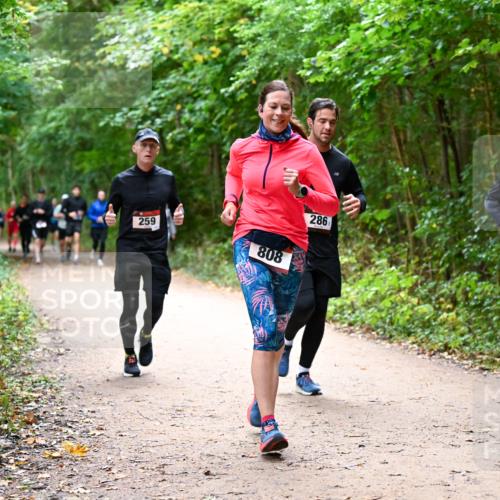 11.10.2026 - Bramfelder Halbmarathon 2026 Dr. Thomas Lammeyer http://msf.ph/oto/10816896 11.10.2026 09:54:53 Laufen 259, 808, 286, 303 meine-sportfotos.de