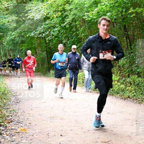 11.10.2026 - Bramfelder Halbmarathon 2026 Dr. Thomas Lammeyer http://msf.ph/oto/10816935 11.10.2026 09:55:04 Laufen 176 meine-sportfotos.de