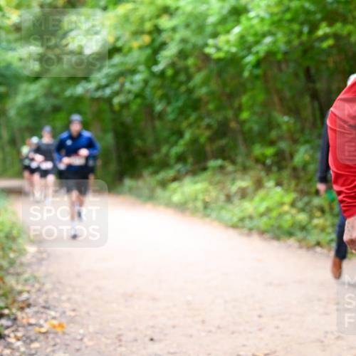 11.10.2026 - Bramfelder Halbmarathon 2026 Dr. Thomas Lammeyer http://msf.ph/oto/10816951 11.10.2026 09:55:10 Laufen  meine-sportfotos.de