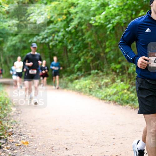 11.10.2026 - Bramfelder Halbmarathon 2026 Dr. Thomas Lammeyer http://msf.ph/oto/10816976 11.10.2026 09:55:13 Laufen 414 meine-sportfotos.de