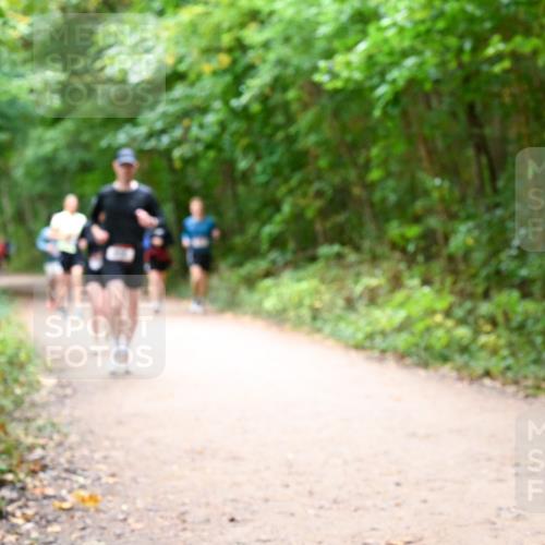 11.10.2026 - Bramfelder Halbmarathon 2026 Dr. Thomas Lammeyer http://msf.ph/oto/10816978 11.10.2026 09:55:13 Laufen  meine-sportfotos.de