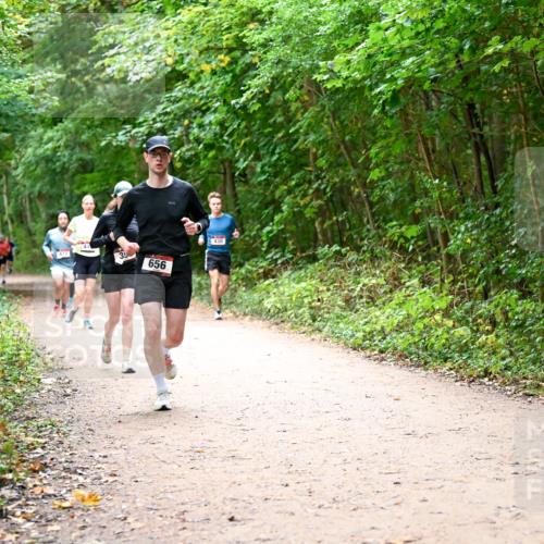 11.10.2026 - Bramfelder Halbmarathon 2026 Dr. Thomas Lammeyer http://msf.ph/oto/10816982 11.10.2026 09:55:14 Laufen 656, 430 meine-sportfotos.de