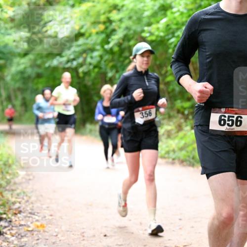11.10.2026 - Bramfelder Halbmarathon 2026 Dr. Thomas Lammeyer http://msf.ph/oto/10817002 11.10.2026 09:55:17 Laufen 356, 656 meine-sportfotos.de